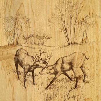 Detail image of Hunter's Woods Deer Paneling