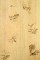 Hunter's Woods Deer and Duck Paneling - closeup