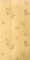 Full 4 x 8 Sheet of Hunter's Woods Rustic Paneling - grooves every 16" and random outdoor scenes