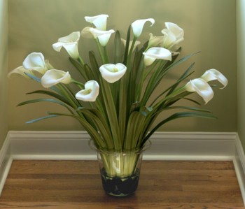Showy White Calla Lilly Spray