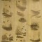 Nature's Woods - deer, duck and water fowl paneling