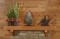 The Rustic Red Cedar mantel shelf is shown with the corbel brackets in the rough sawn finish option.