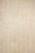 Read-to-finish Birch Veneer 2" Beadboard Paneling - closeup