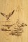 Ducks landing in this wall paneling scene